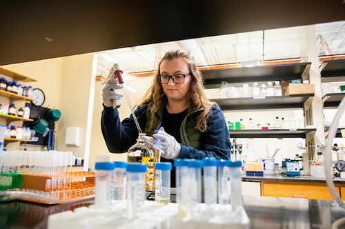A student working in a lab